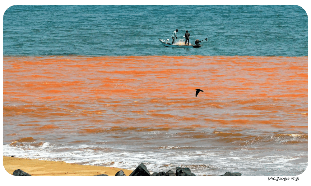UPSC Current Affairs: The Red Warning: A Plankton Crash in Puducherry Highlights Ocean Vulnerability.