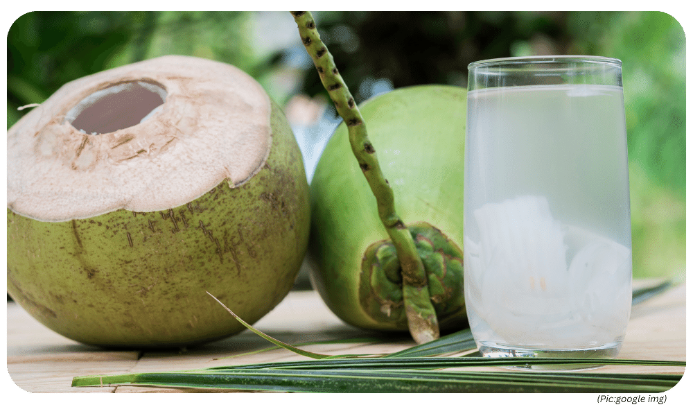 UPSC Science: Have you ever wondered how water enters a coconut?